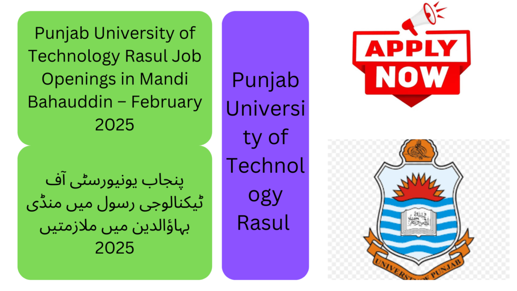 Punjab University of Technology (PUT) Rasul, Mandi Bahauddin, is seeking applications from highly qualified, dynamic, and skilled professionals (male & female) domiciled in Punjab