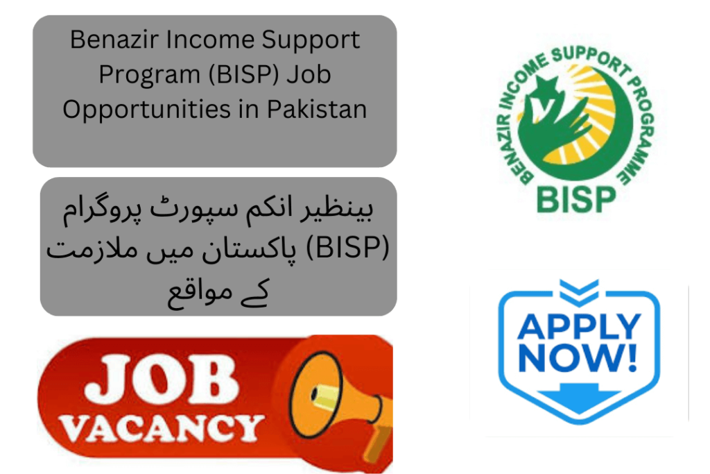 The Benazir Income Support Program (BISP) has announced new job openings in February 2025 through its latest advertisement. BISP is looking to hire Data Entry Executives (DEE)