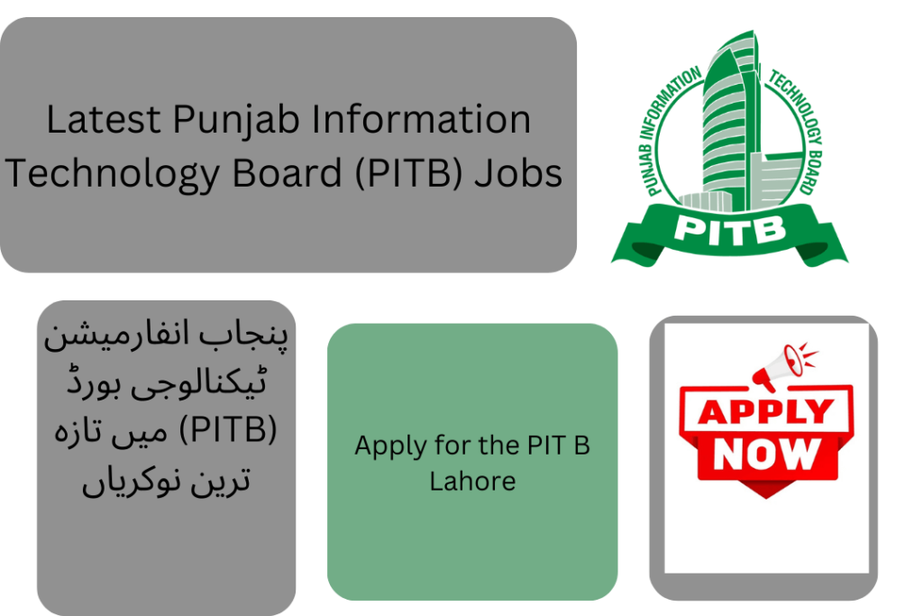 New Career Opportunities at Punjab Information Technology Board (PITB) – February 2025 Jobs in Punjab







