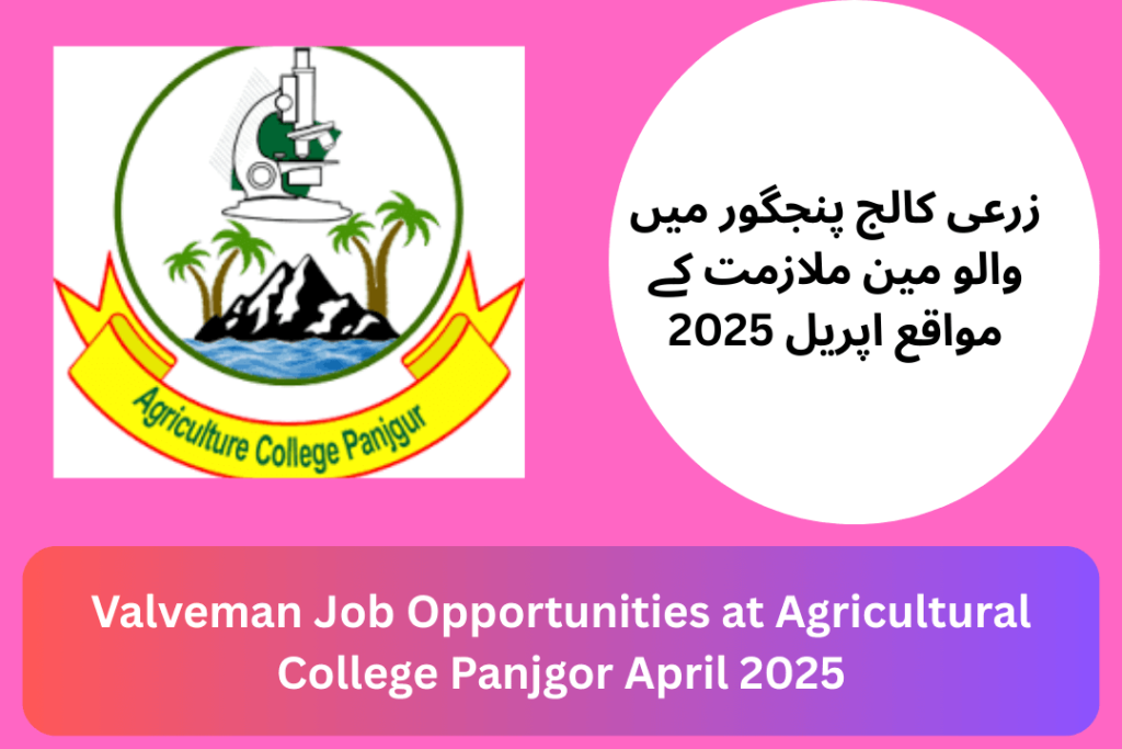 Valveman Job Opportunities at Agricultural College Panjgor April 2025