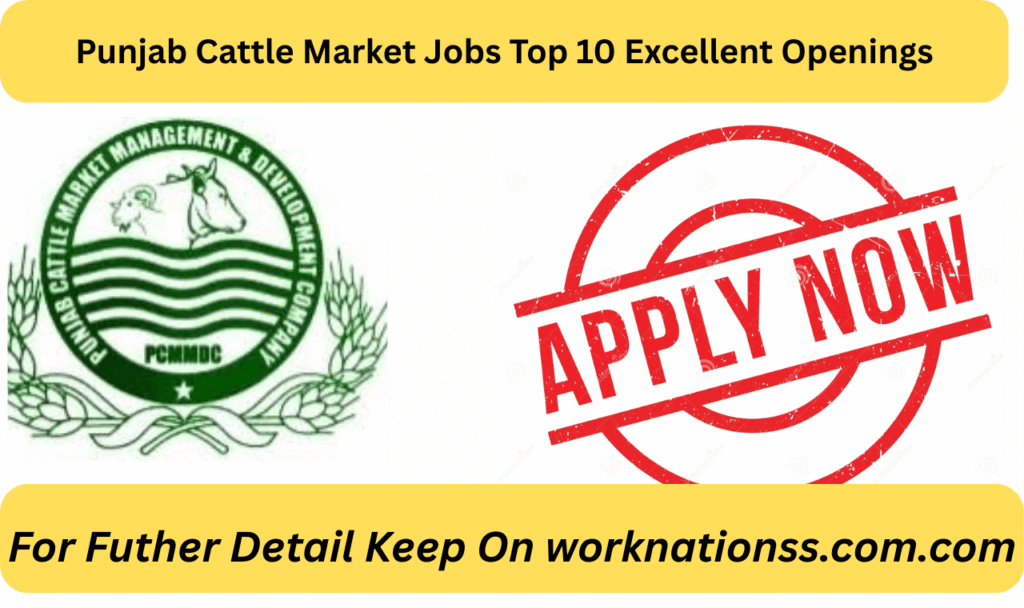 Punjab Cattle Market Jobs Top 10 Excellent Openings