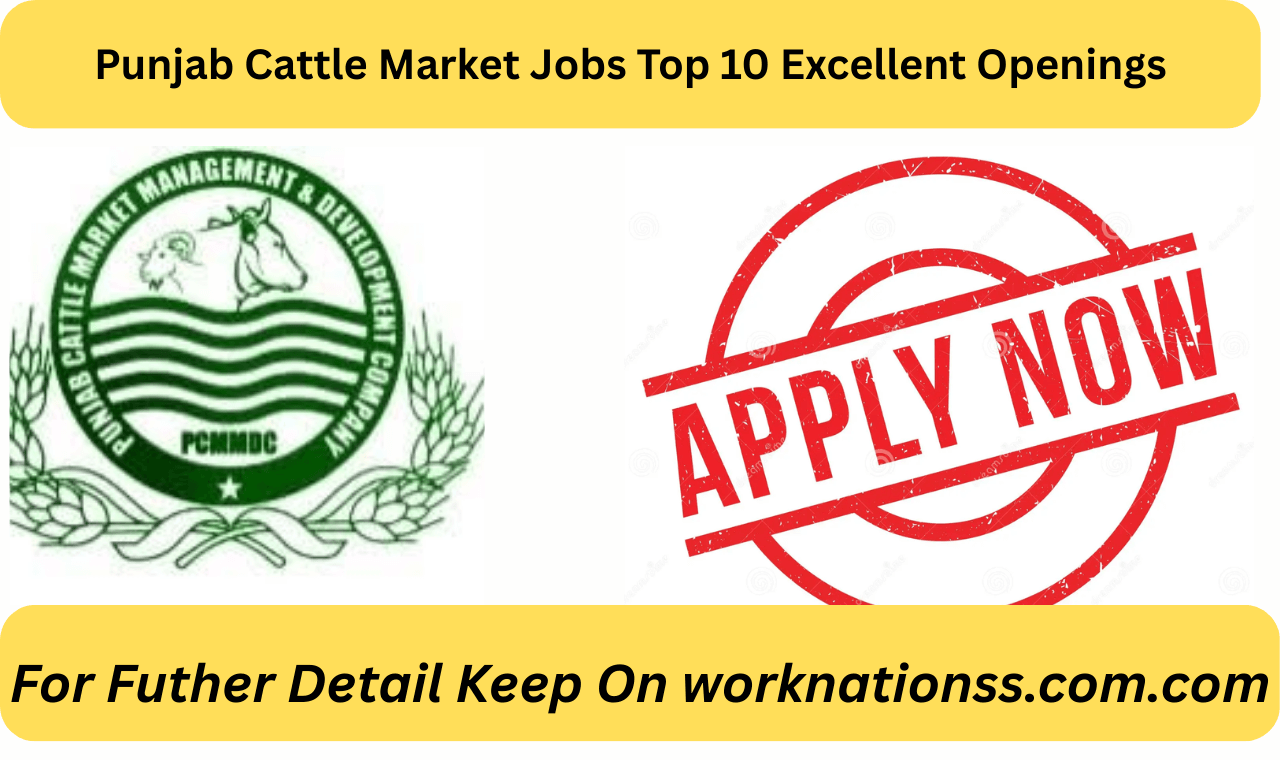 Punjab Cattle Market Jobs Top 10 Excellent Openings