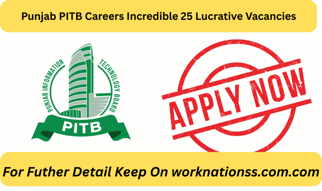 Punjab PITB Careers Incredible 25 Lucrative Vacancies