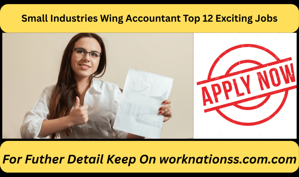 Small Industries Wing Accountant Top 12 Exciting Jobs