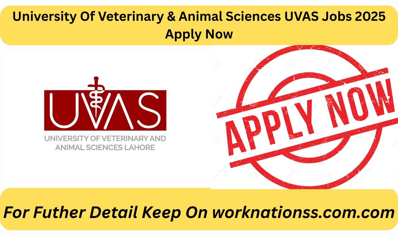 University Of Veterinary & Animal Sciences UVAS Jobs 2025 Apply Now